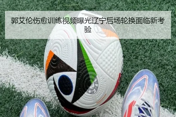 郭艾伦伤愈训练视频曝光辽宁后场轮换面临新考验（aoa.conapp）