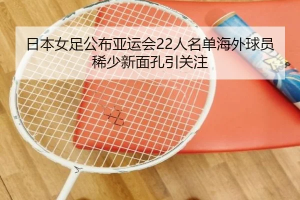 日本女足公布亚运会22人名单海外球员稀少新面孔引关注（aoa.conapp）