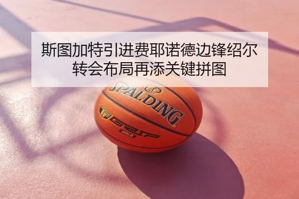 斯图加特引进费耶诺德边锋绍尔 转会布局再添关键拼图 | aoa.conapp