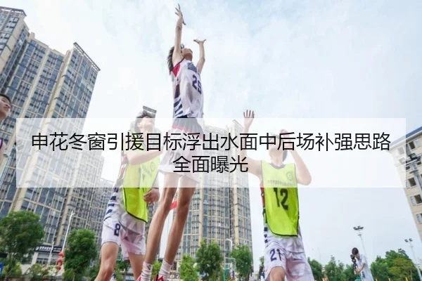 申花冬窗引援目标浮出水面中后场补强思路全面曝光 - aoa.conapp