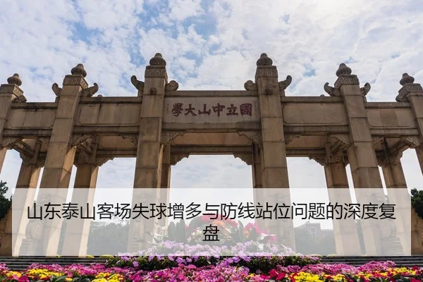 山东泰山客场失球增多与防线站位问题的深度复盘 - aoa.conapp